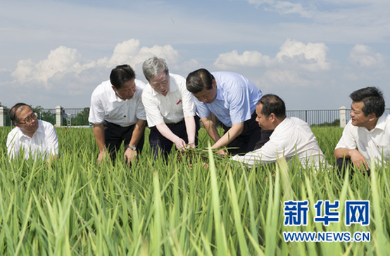 “平語”近人——習(xí)近平的“三農(nóng)觀”