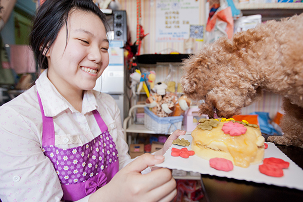 優(yōu)質(zhì)美食和電子商務(wù)推動中國寵物食品行業(yè)發(fā)展