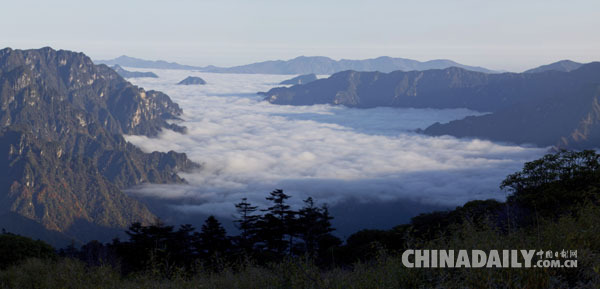 湖北神農(nóng)架榮膺世界自然遺產(chǎn)地稱號