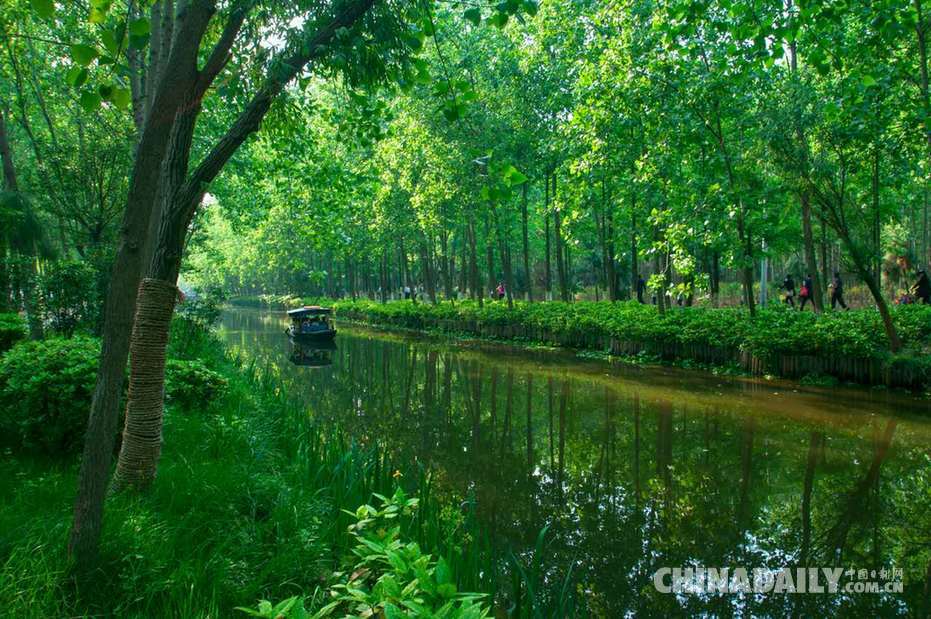 退耕還林還出國(guó)家級(jí)森林公園（組圖）