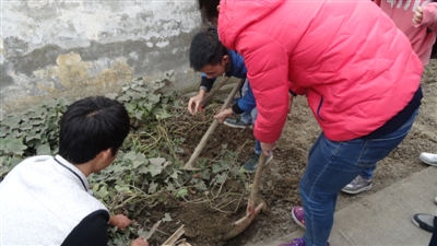 揀廢品的他不接受捐款 大學生：我們幫他挖紅薯賣吧