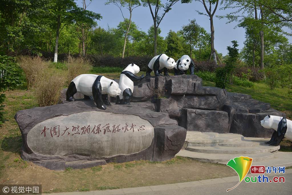 汶川地震十周年 實(shí)拍中國(guó)大熊貓保護(hù)研究中心新面貌