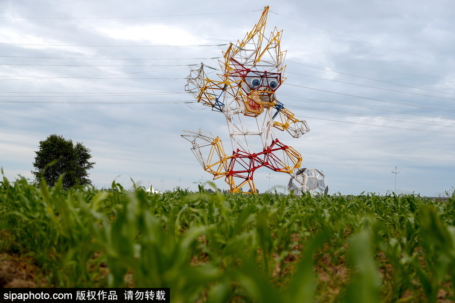 要不要這么萌！俄羅斯路邊一電力塔變身世界杯吉祥物