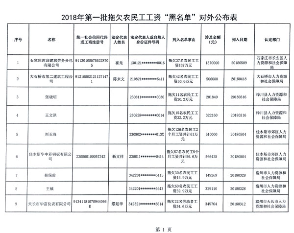 首批拖欠農(nóng)民工工資黑名單公布，被“拉黑”者融資貸款、乘飛機(jī)高鐵受限