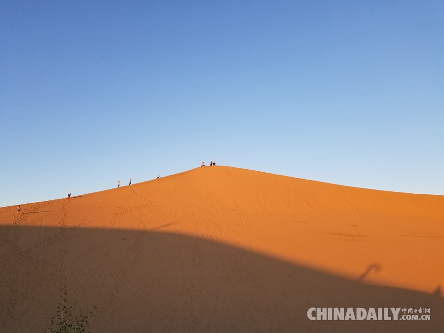 沙漠里的綠洲 打造沙漠生態(tài)旅游新亮點(diǎn)