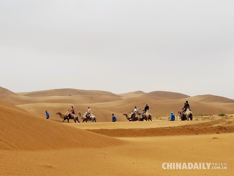 沙漠里的綠洲 打造沙漠生態(tài)旅游新亮點