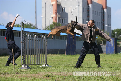 北京市公安局公交總隊在警犬基地舉行警營開放日活動