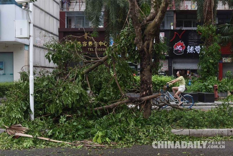 廣東珠海：臺(tái)風(fēng)“山竹”過境 生活生產(chǎn)秩序逐漸恢復(fù)