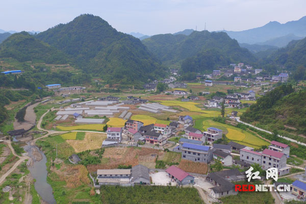 【網(wǎng)絡(luò)媒體走轉(zhuǎn)改】永順三家田村：小基金大作用 留下永不撤走的扶貧隊(duì)